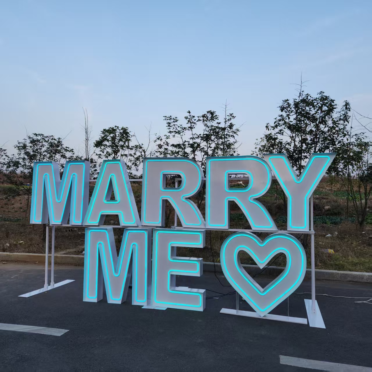 MARRY ME Metalen RGB LED Neonr - Event Party Supply Rental recensie en prijs