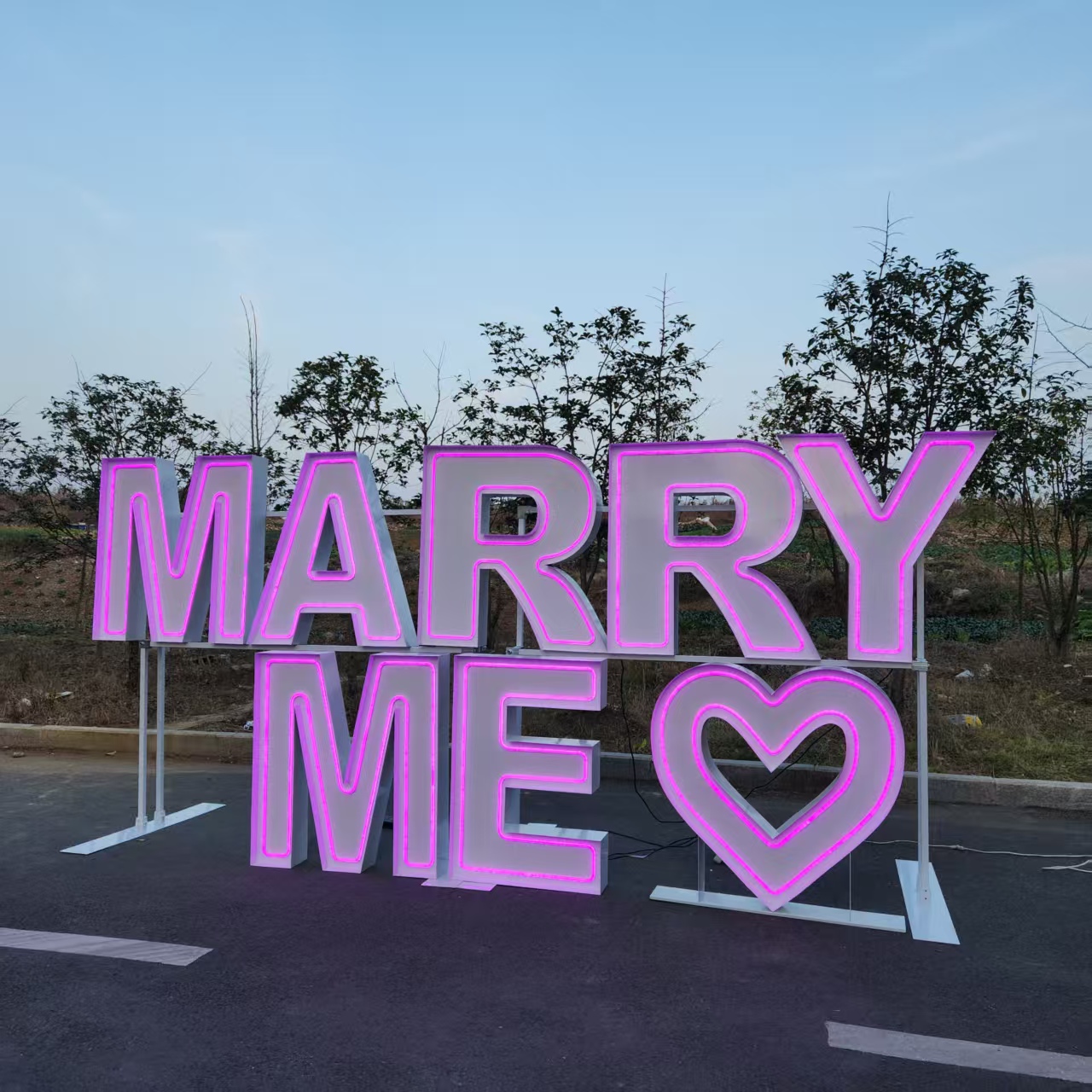 MARRY ME Metalen RGB LED Neonr - Event Party Supply Rental recensie en prijs